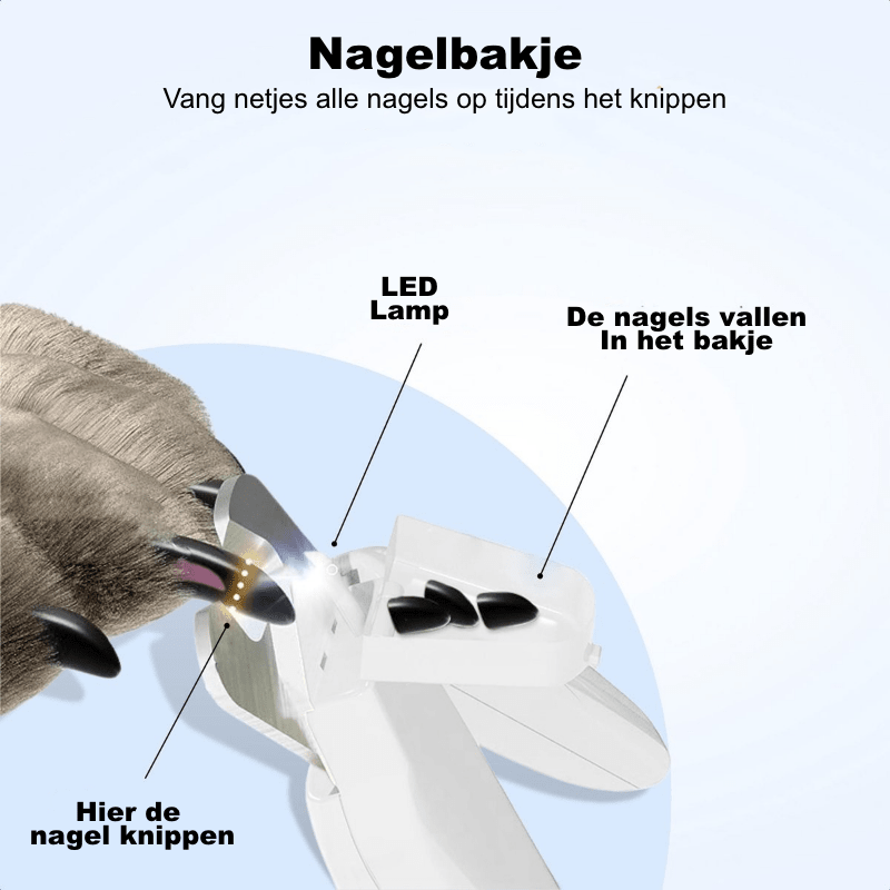 Nagelklippning av hund med LED-nagelklippare