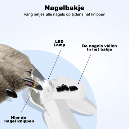 Nagelklippning av hund med LED-nagelklippare