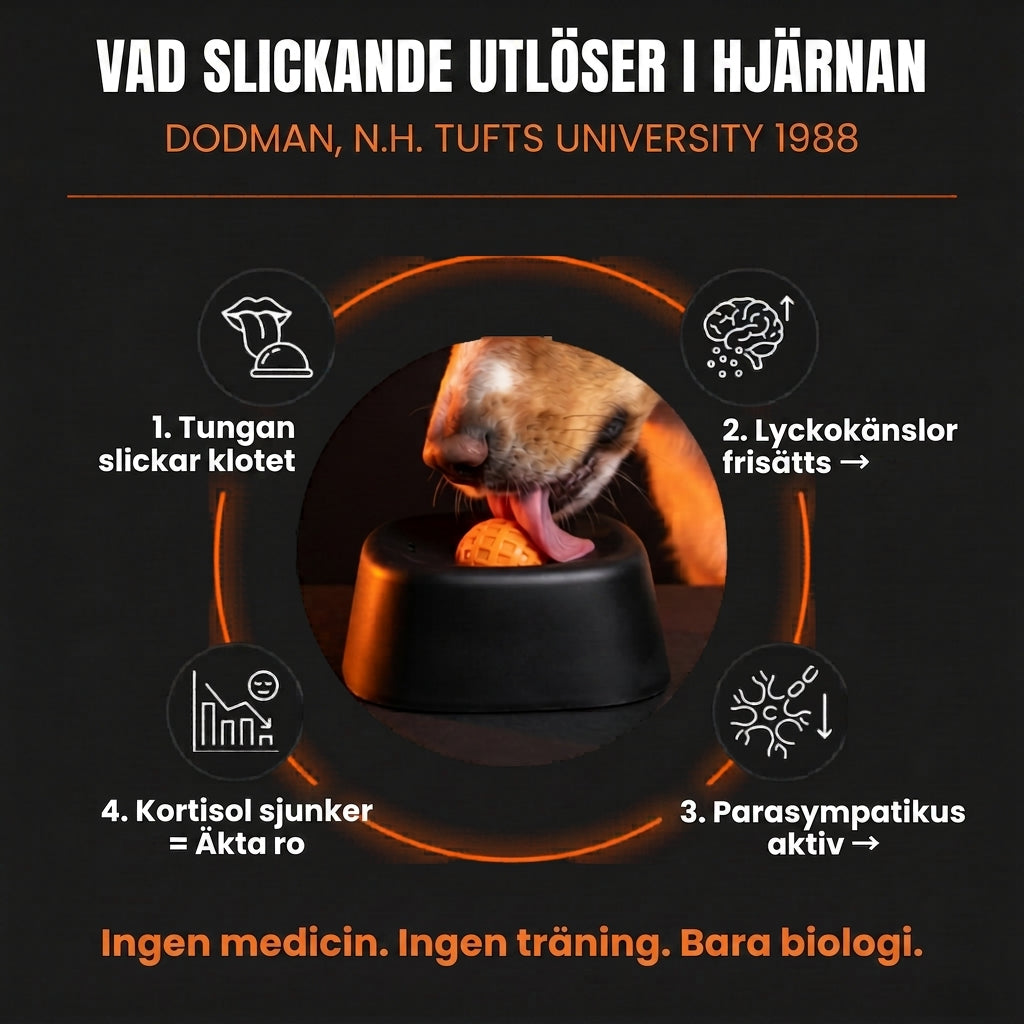 LickEase™ | Lugn och glad, även när du inte är hemma